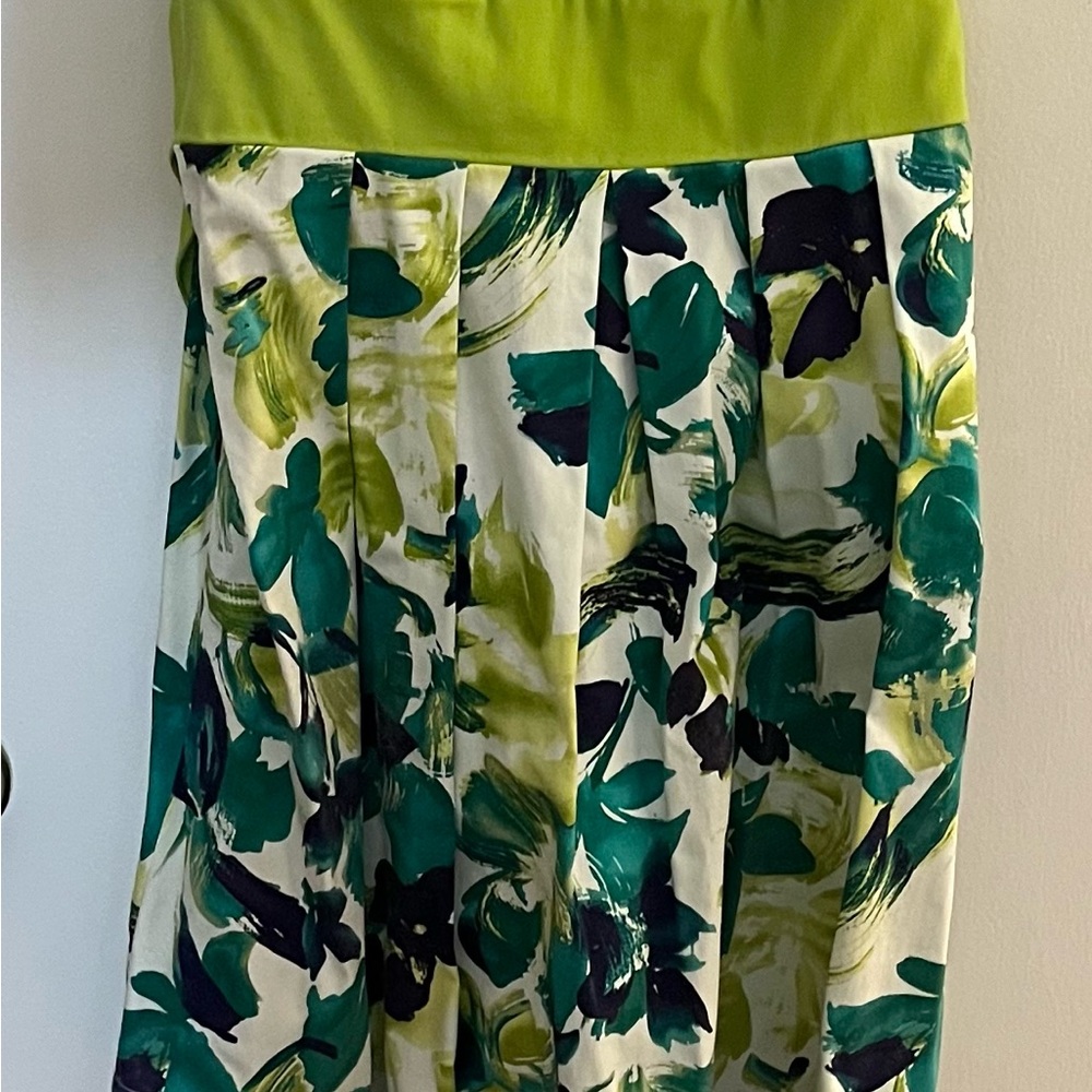 Trixxi A-Line Skirt with Green and Blue Floral Design